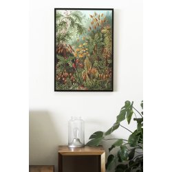 Mushroom Forest | Kuriosis