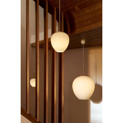 MT221 | Tulip Pendel