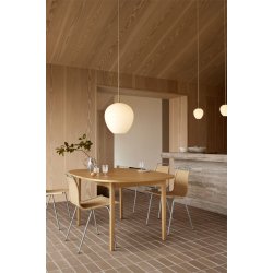 MT221 | Tulip Pendel