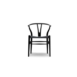 CH24 | Y-stolen | Ask