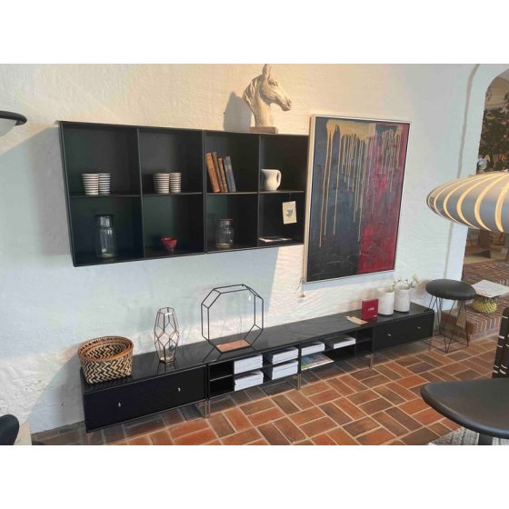Montana TV Modul