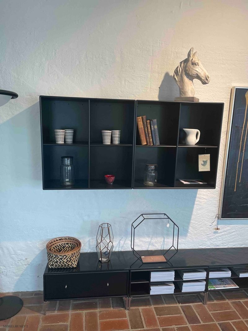 Montana TV Modul