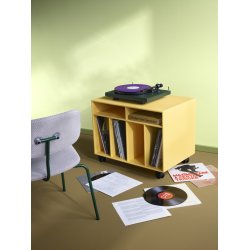 Spin I reol til vinyler | Montana