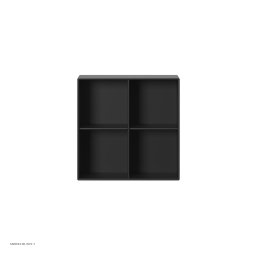 SHOW | Montana