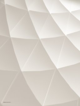 Patera Oval