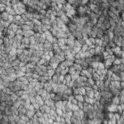 Siesta Ovis | Hjelle