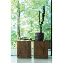 Team 7 | Eichenstock