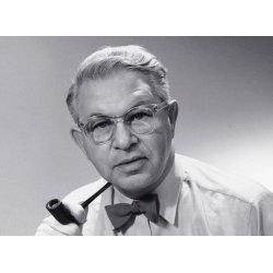 Serie 7 3107, schwarze Esche- Fritz Hansen