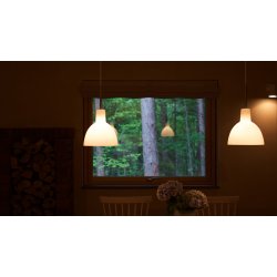 Toldbod 155/220 Glas Pendel